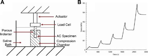 structural cartilage testing